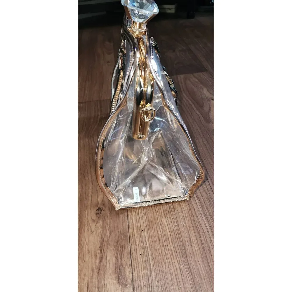 Metallic and Clear Satchel